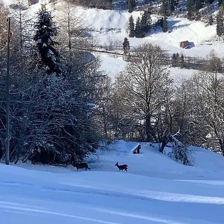 Straeba Holiday home *